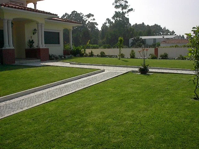Jardim com arbustos