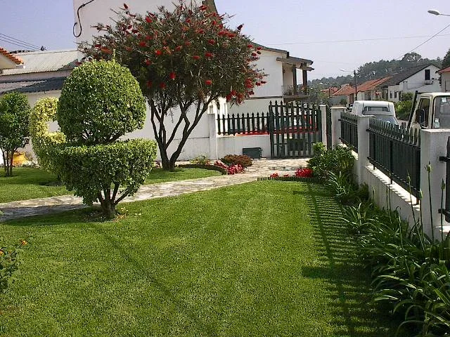 Pedra decorativa e plantas