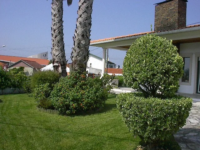 Jardim residencial com relvado