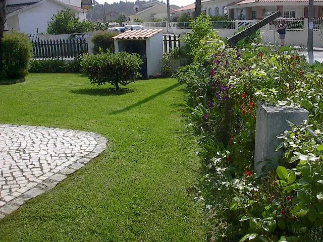 Arbustos ornamentais