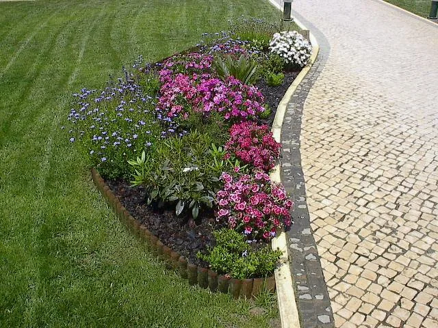 Jardim moderno relvado